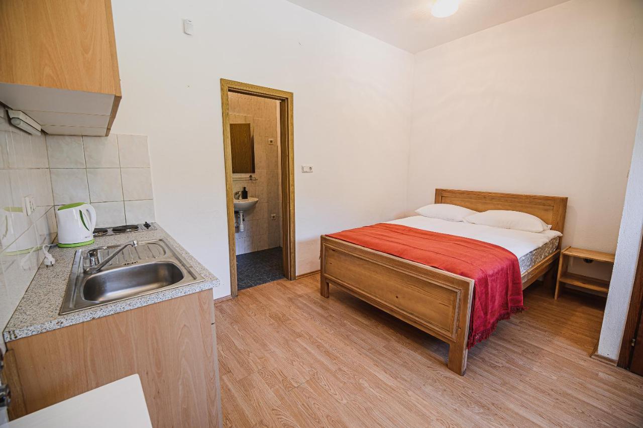 Mojcin Pisker Apartment House Kranj Exterior photo